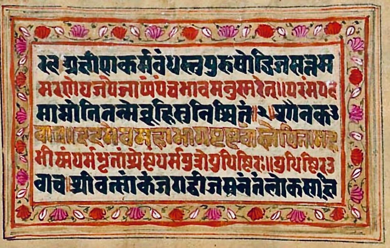Illuminated manuscript page with Devanagari text and floral border