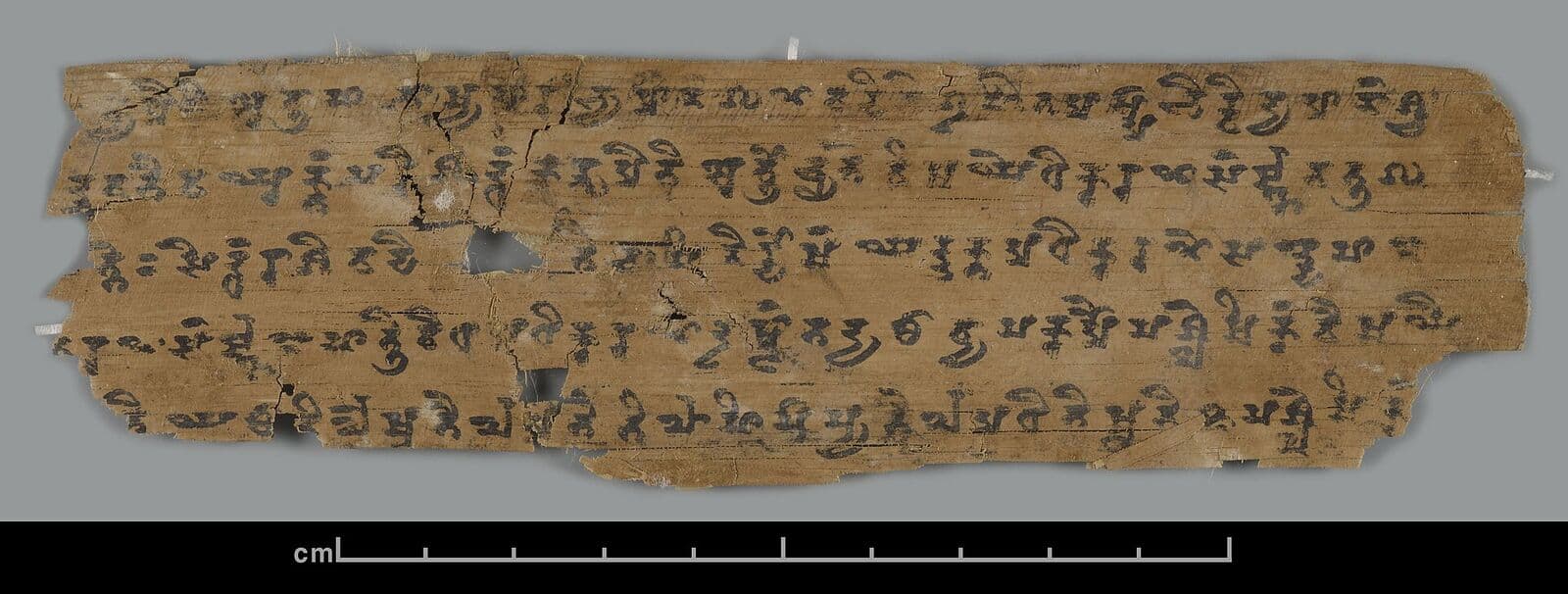 An ancient palm-leaf manuscript preserved against a dark ground