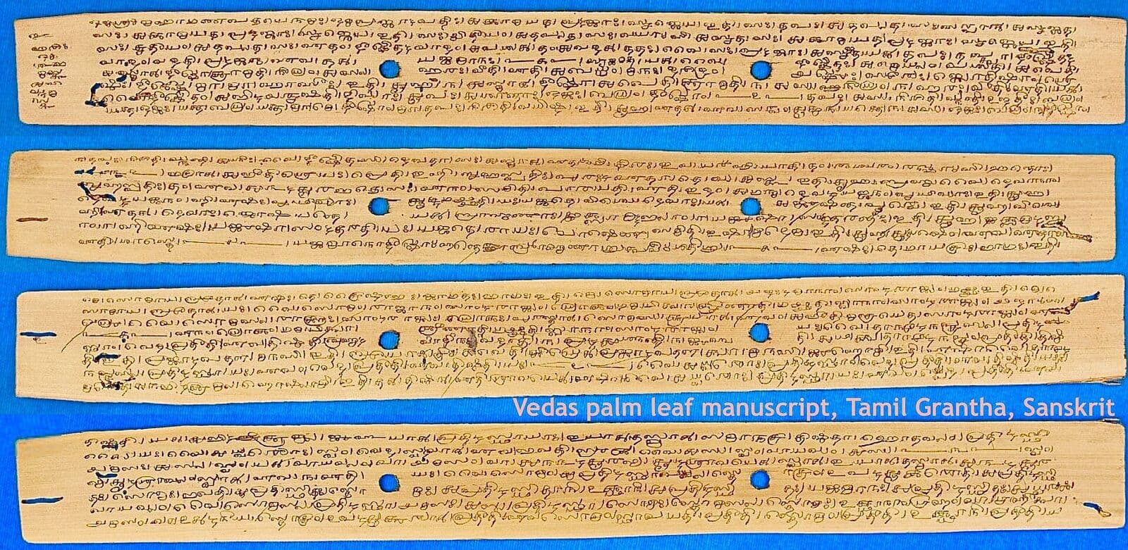 Palm-leaf manuscript leaves in Grantha script