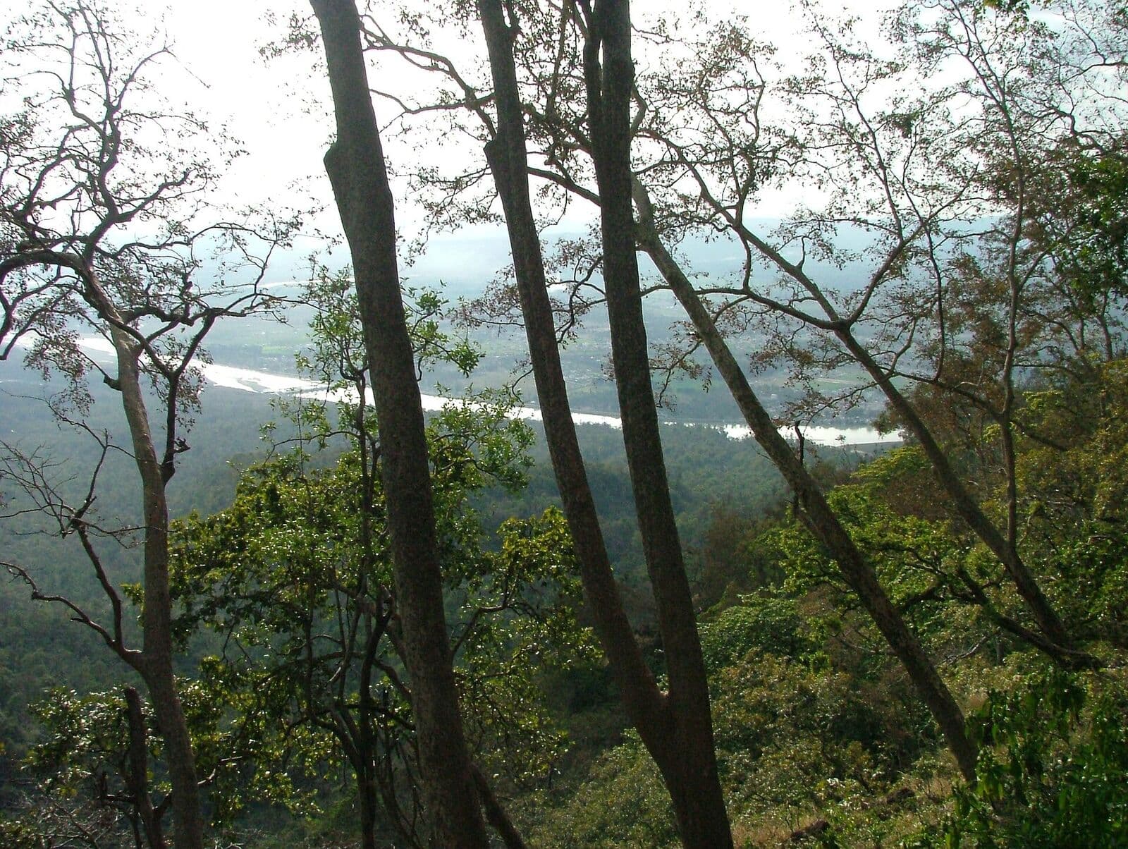 Forested hills above the Ganga near Rishikesh
